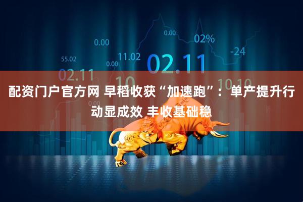 配资门户官方网 早稻收获“加速跑”：单产提升行动显成效 丰收基础稳