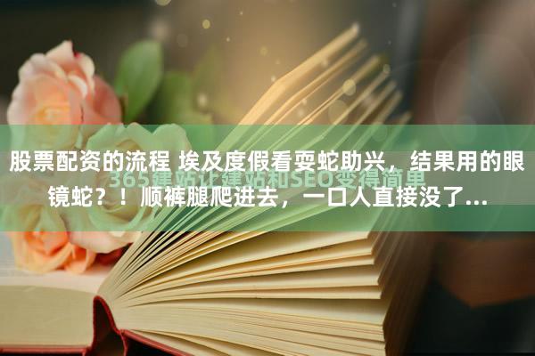 股票配资的流程 埃及度假看耍蛇助兴，结果用的眼镜蛇？！顺裤腿爬进去，一口人直接没了...